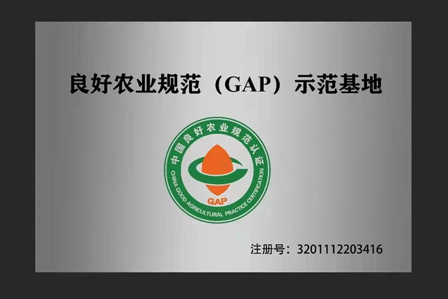 江苏乡村发展基金会视角下 南京企业助力乡村建设
